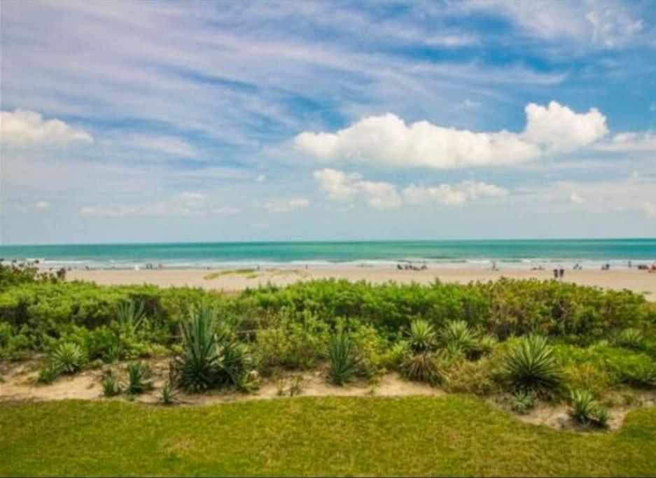 Beach Living At Its Best! شاطئ كوكوا المظهر الخارجي الصورة